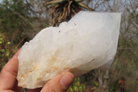 Natural Quartz Crystal Specimens x 3 From Madagascar