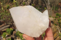 Natural Quartz Crystal Specimens x 3 From Madagascar