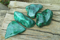 Polished Flower Banded Malachite Free Forms x 4 From Congo