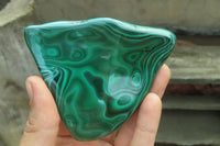 Polished Flower Banded Malachite Free Forms x 4 From Congo