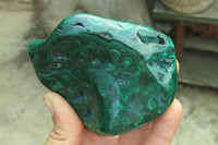 Polished Flower Banded Malachite Free Forms x 4 From Congo