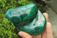 Polished Flower Banded Malachite Free Forms x 4 From Congo