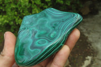 Polished Flower Banded Malachite Free Forms x 4 From Congo