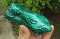 Polished Flower Banded Malachite Free Forms x 4 From Congo