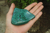 Polished Flower Banded Malachite Free Forms x 4 From Congo