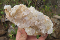 Natural Limonite Quartz Clusters x 4 From Zambia