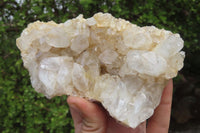 Natural Limonite Quartz Clusters x 4 From Zambia