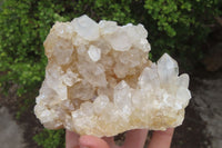 Natural Limonite Quartz Clusters x 4 From Zambia