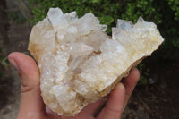 Natural Limonite Quartz Clusters x 4 From Zambia