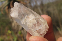 Natural Clear Smokey Quartz Crystals x 1.3 Kg Lot From Zimbabwe