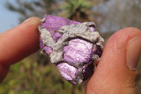 Natural Metallic Purpurite Cobbed Specimens x 60 From Erongo, Namibia