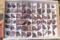 Natural Metallic Purpurite Cobbed Specimens x 60 From Erongo, Namibia