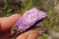 Natural Metallic Purpurite Cobbed Specimens x 60 From Erongo, Namibia