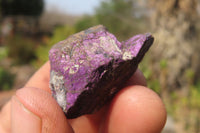 Natural Metallic Purpurite Cobbed Specimens x 60 From Erongo, Namibia