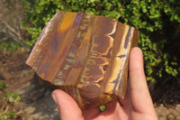 Polished On One Side Nguni Jasper Specimens x 2 From Prieska, South Africa