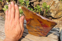 Polished On One Side Nguni Jasper Specimens x 2 From Prieska, South Africa