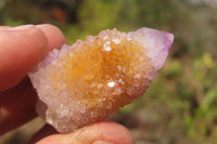 Natural Ametrine Spirit Quartz Specimens x 35 From Boekenhouthoek, South Africa