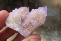 Natural Ametrine Spirit Quartz Specimens x 35 From Boekenhouthoek, South Africa