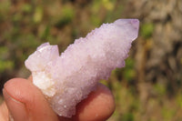 Natural Ametrine Spirit Quartz Specimens x 35 From Boekenhouthoek, South Africa