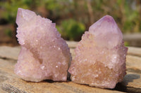 Natural Ametrine Spirit Quartz Specimens x 35 From Boekenhouthoek, South Africa