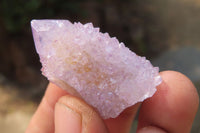 Natural Ametrine Spirit Quartz Specimens x 35 From Boekenhouthoek, South Africa