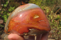 Polished On One Side Polychrome Jasper Nodules x 2 From Mahajanga, Madagascar