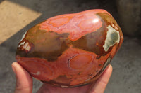 Polished On One Side Polychrome Jasper Nodules x 2 From Mahajanga, Madagascar