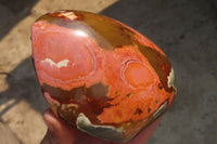 Polished On One Side Polychrome Jasper Nodules x 2 From Mahajanga, Madagascar