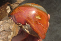 Polished On One Side Polychrome Jasper Nodules x 2 From Mahajanga, Madagascar