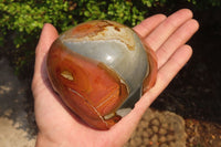 Polished On One Side Polychrome Jasper Nodules x 2 From Mahajanga, Madagascar