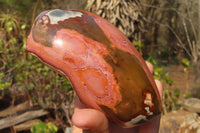 Polished On One Side Polychrome Jasper Nodules x 2 From Mahajanga, Madagascar