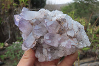 Natural Jacaranda Amethyst Clusters x 6 From Zambia