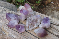 Natural Jacaranda Amethyst Clusters x 6 From Zambia