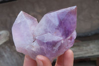 Natural Jacaranda Amethyst Clusters x 6 From Zambia