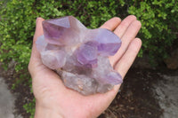 Natural Jacaranda Amethyst Clusters x 6 From Zambia