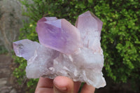 Natural Jacaranda Amethyst Clusters x 6 From Zambia