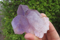 Natural Jacaranda Amethyst Clusters x 6 From Zambia