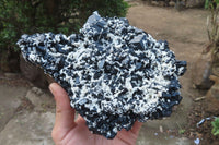 Natural Schorl Black Tourmaline With Feldspar Specimen x 1 From Namibia