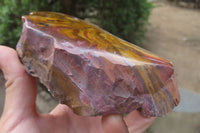 Polished On One Side Nguni Jasper Specimens x 2 From Prieska, South Africa