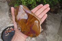 Polished On One Side Nguni Jasper Specimens x 2 From Prieska, South Africa