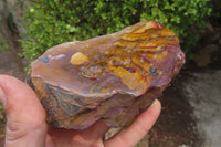 Polished On One Side Nguni Jasper Specimens x 2 From Prieska, South Africa