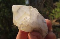 Natural Clear Quartz Crystals x 20 From Madagascar