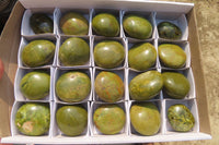 Polished Green Opal Palm Stones x 24 From Madagascar