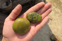 Polished Green Opal Palm Stones x 24 From Madagascar