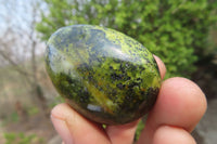 Polished Green Opal Palm Stones x 24 From Madagascar