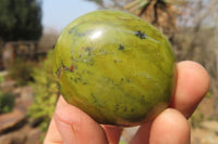 Polished Green Opal Palm Stones x 24 From Madagascar