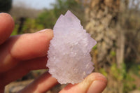 Natural Amethyst Cactus Flower Spirit Quartz Clusters x 20 From South Africa