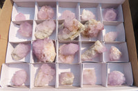 Natural Amethyst Cactus Flower Spirit Quartz Clusters x 20 From South Africa