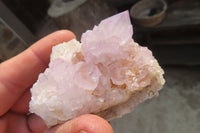 Natural Amethyst Cactus Flower Spirit Quartz Clusters x 20 From South Africa