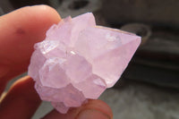 Natural Amethyst Cactus Flower Spirit Quartz Clusters x 20 From South Africa